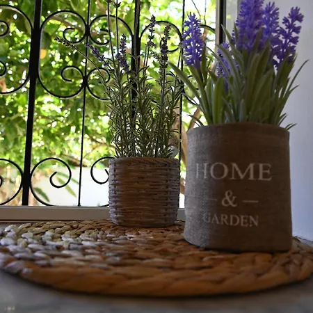 White Openair By Aelios In